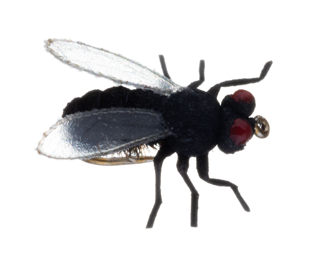 Vania Realistic Black Dry Fly