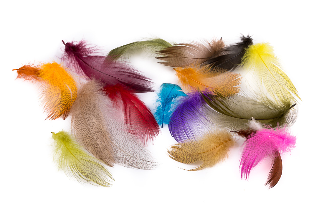 Wapsi Mallard Barred Flank Feathers