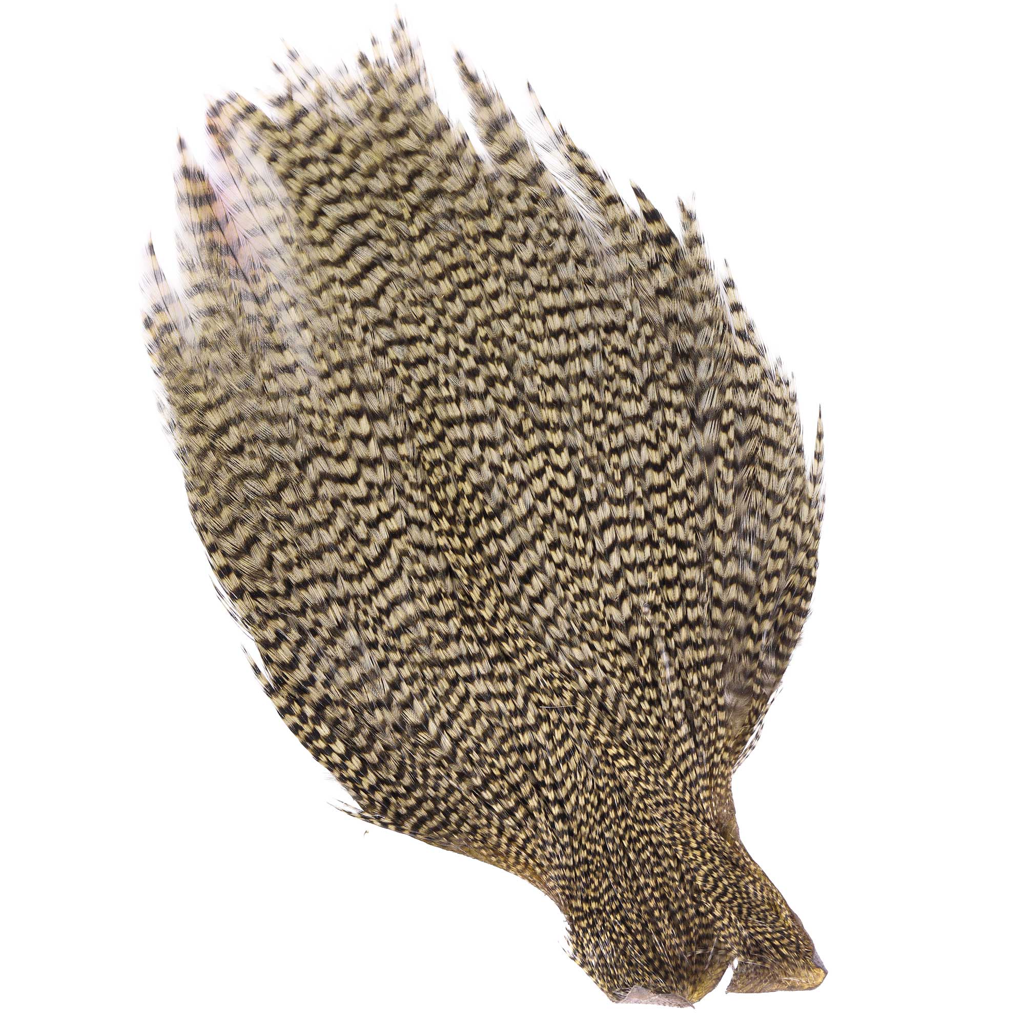 Wapsi Ewing Top Capes Grizzly Premium Quality