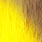 fl. yellow
