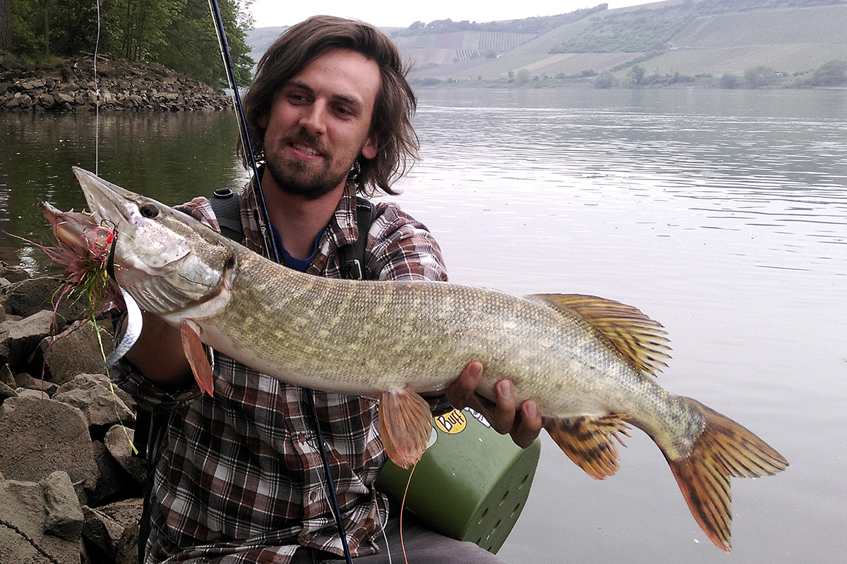 wiggle-tail-hecht-philip