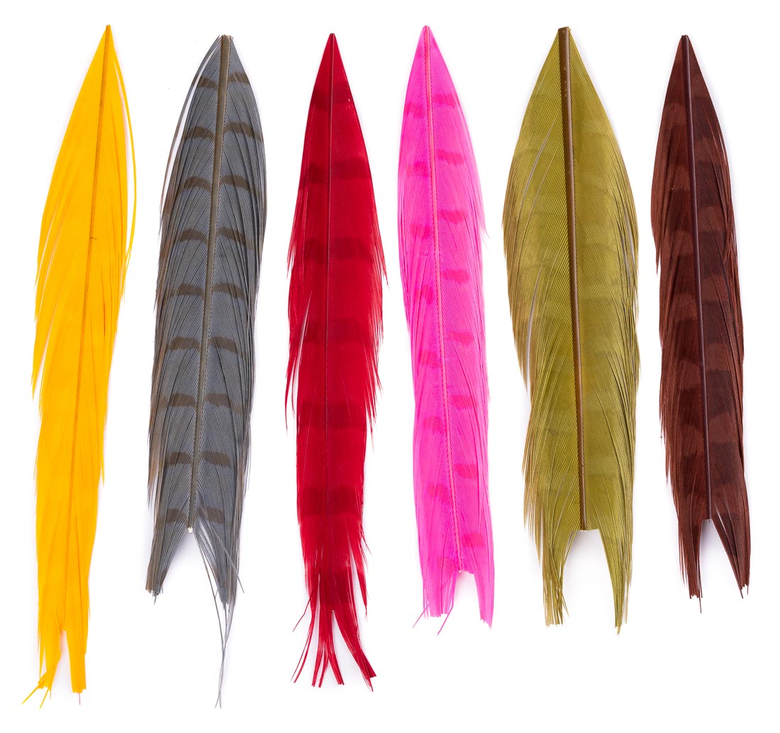 veniard-cock-pheasant-colour-extracted-centre-tail-mixed-3