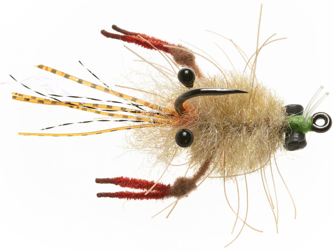 Enrico Puglisi EP® TARANTULA CRAB - MOTTLED TAN - #1