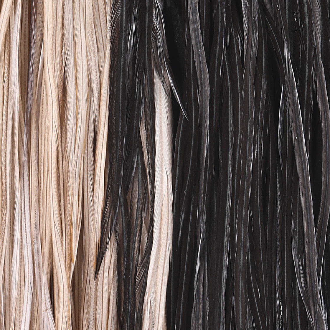 P-25398_Whiting-Introductory-Hackle-Pack-Four-1_2-Saddles_detail