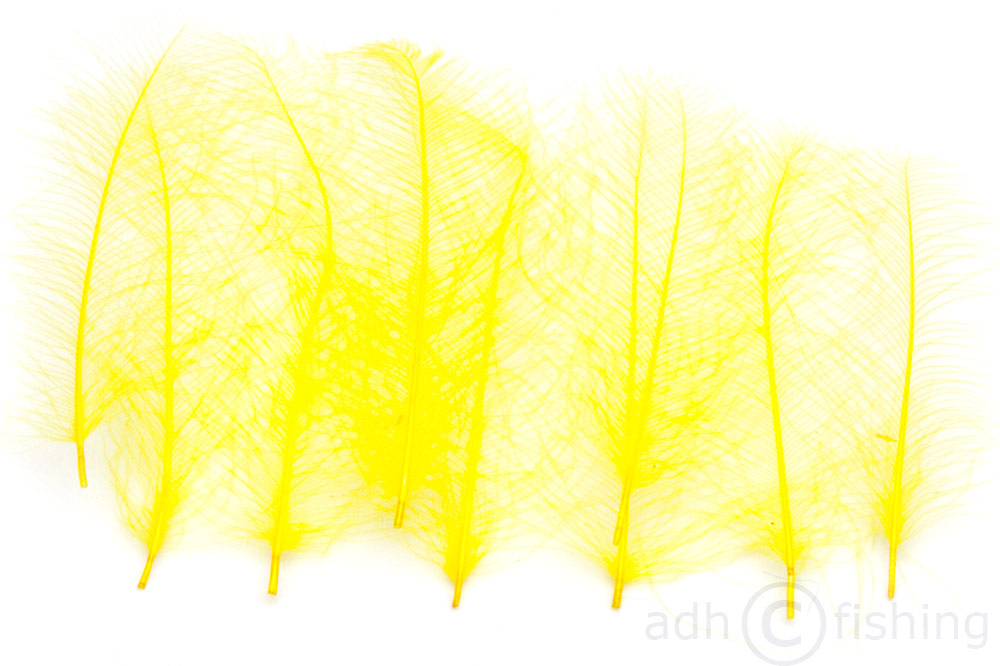 light yellow