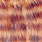 peach brown barred