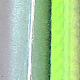 electric sandeel