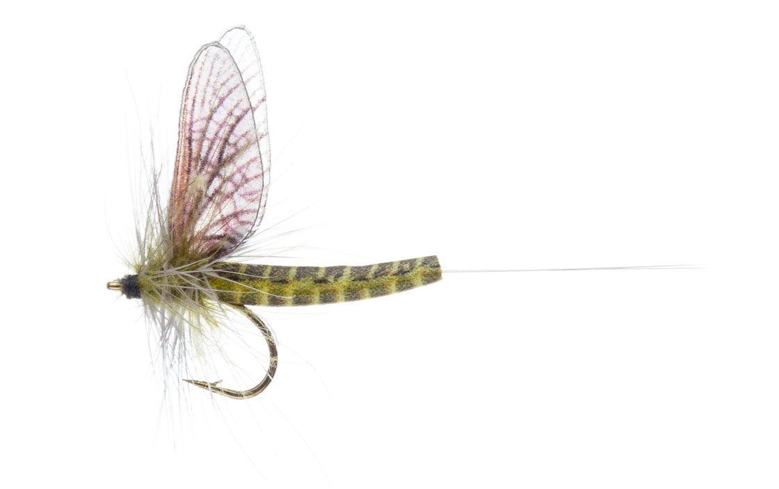 Vania Realistic Mayfly Green Drake Western CDC