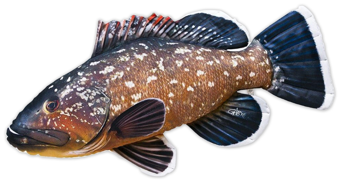P-29200_Fischkissen_Kuscheltier_Grouper_100cm_ganz Fish Pillow Soft Toy Grouper 100cm
