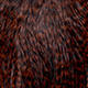 grizzly dyed brown