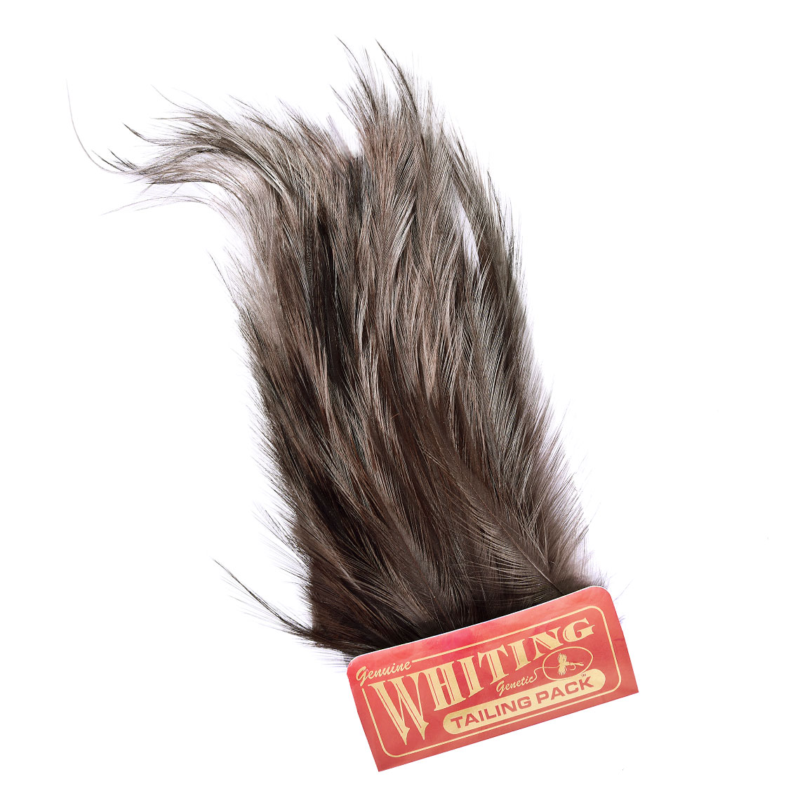 white dyed dark dun
