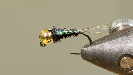 Tying Video Pearly Flashback Pheasant Tail Jig
