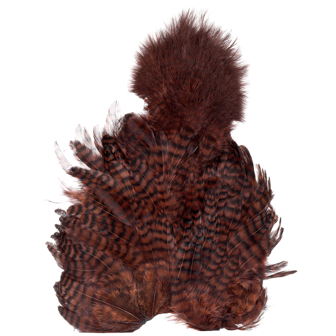 P-25432-4_Whiting-Rooster-SH-C_grizzly-dyed-coachman-brown grizzly dyed coachman brown