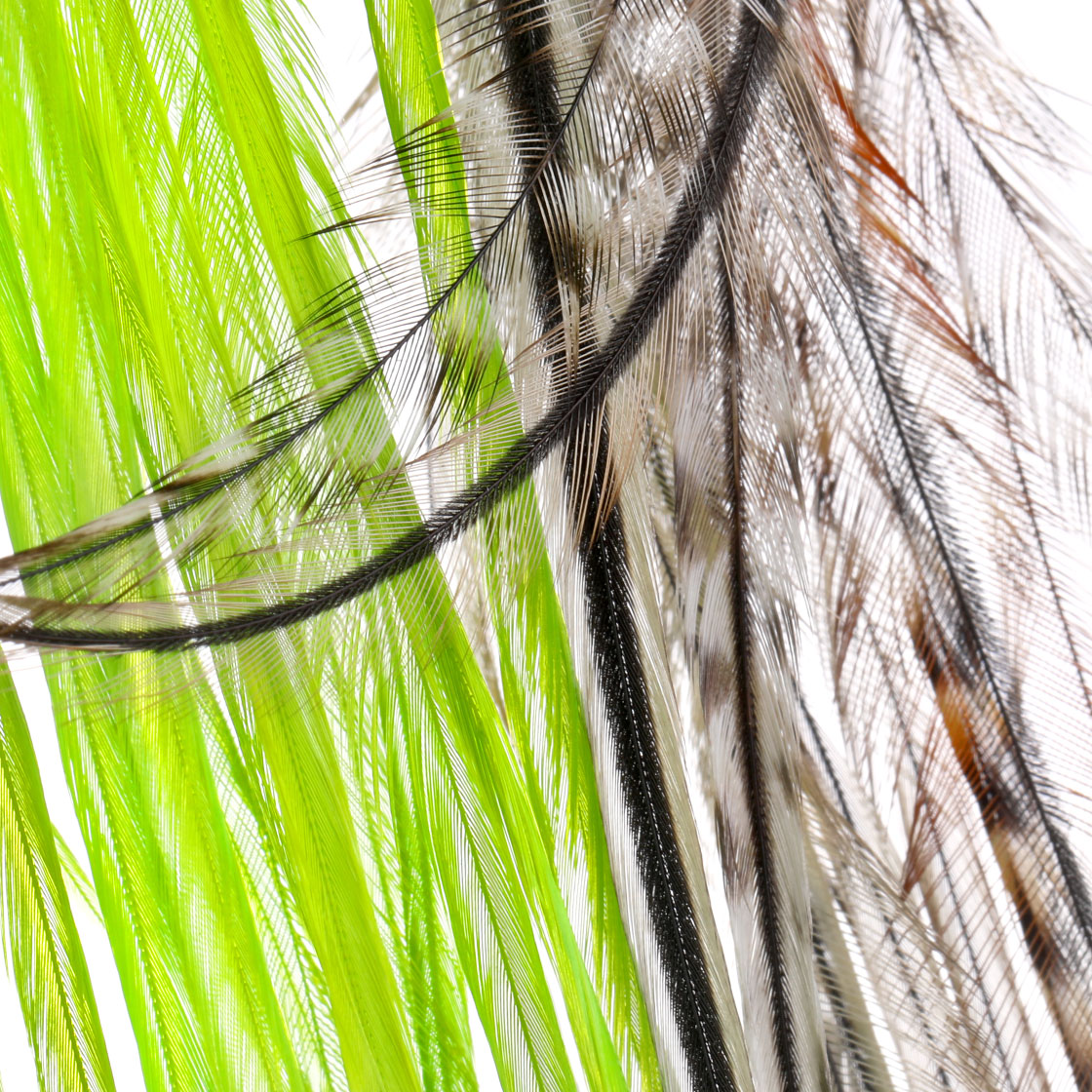 P-25410_Whiting-100-Pk-Size-14_titel Whiting 100 Pk Size 14