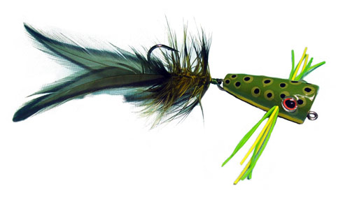 art-shank3 Beispiel Fliege