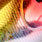 prism clown