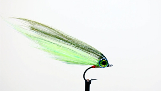 Fly Tying Video: Angel Silk Streamer