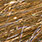 golden forest