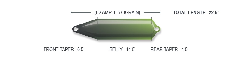 P-28970_Airflo_Skagit_Comp_F-I-S-T-_Float-_Interm-_Sink-_Three-_Zweihand_Schusskopf_2