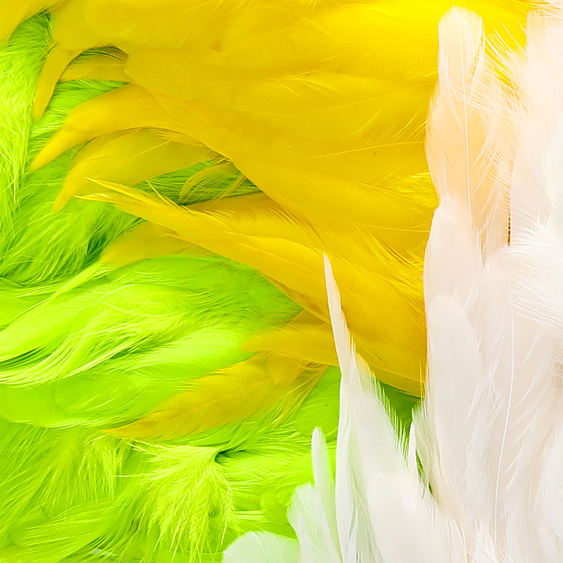 P-25379_Whiting-American-Hen-SH-C_detail-2