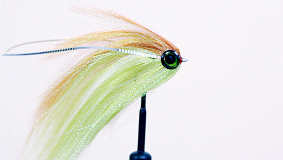 Bindevideo: Flat Wing Streamer Fly Tying Video: Flat Wing Streamer