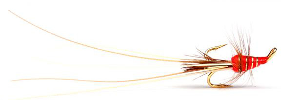 Guideline Salmonfly - Red Frances Golden Treble