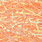 13 salmon lt