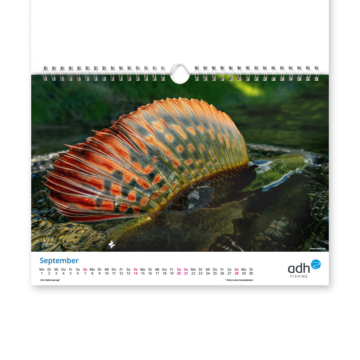 adh-kalender-2025-09