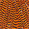 grizzly orange