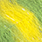 olive/yellow