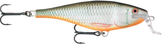 Redfin Shiner