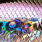 nf wakasagi