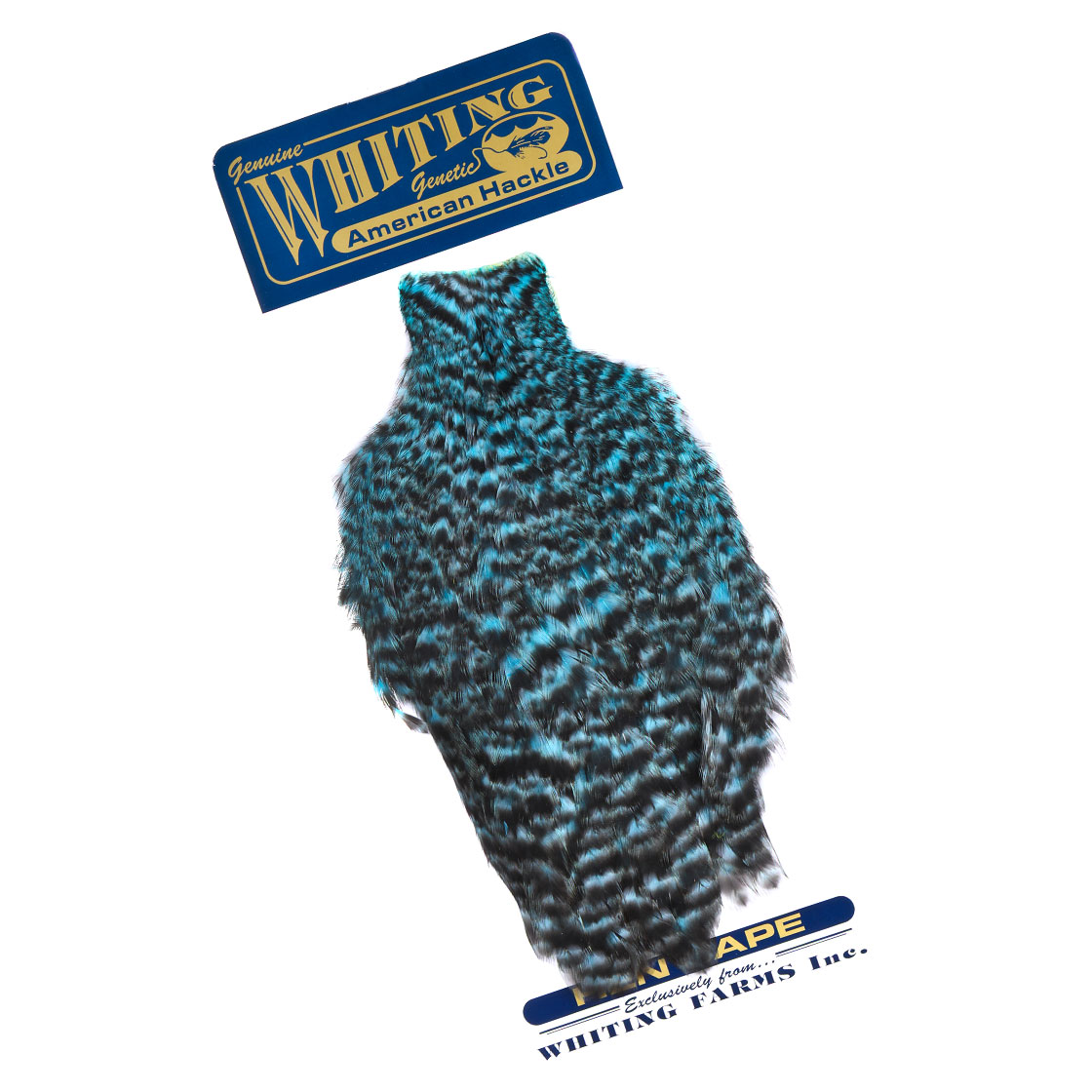 grizzly dyed silver dr. blue