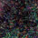 01 bronze dark/blue-violet