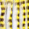 chartreuse & white black barred