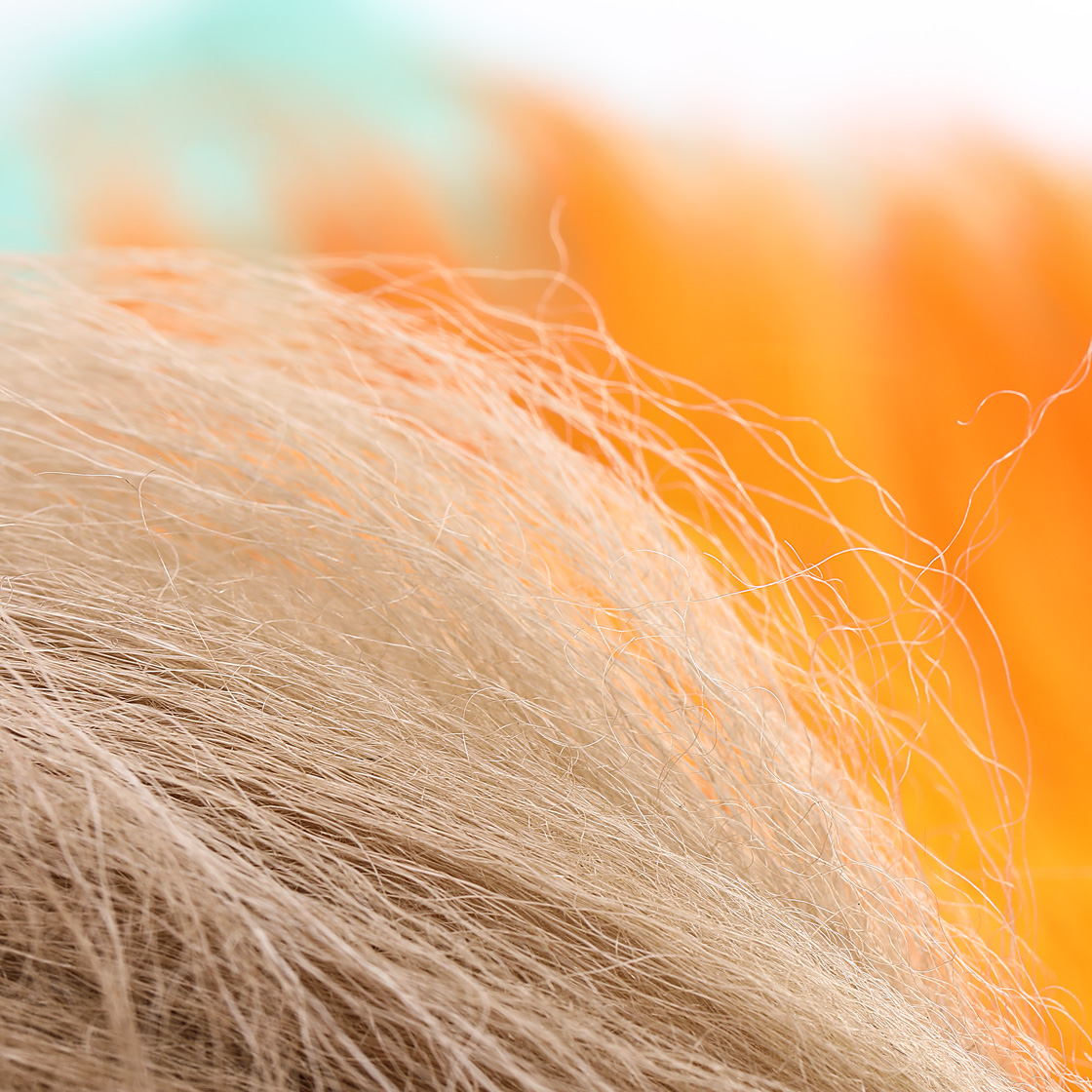 P-26636_Pike-Terror-Flies-Premium-Nayat-X-Long-15cm-Fellstucke_detail