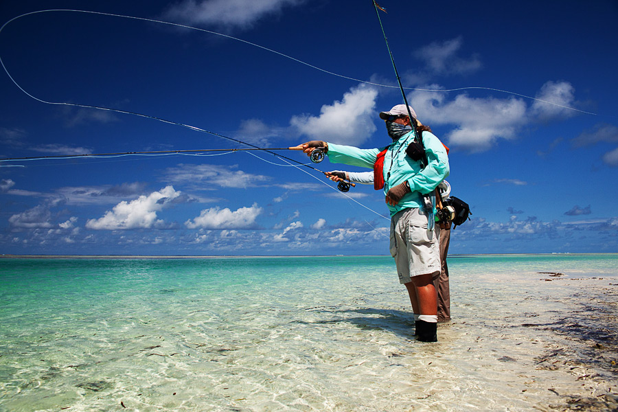 desroches7 - Reise-Tipp: Desroches Island