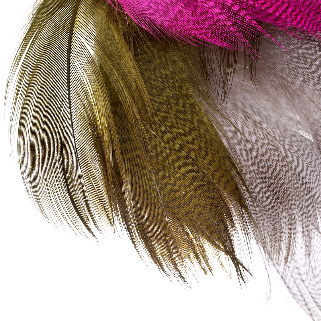 P-01104_Fly-Scene-Barred-Mallard-Flank-Federn_titel_2