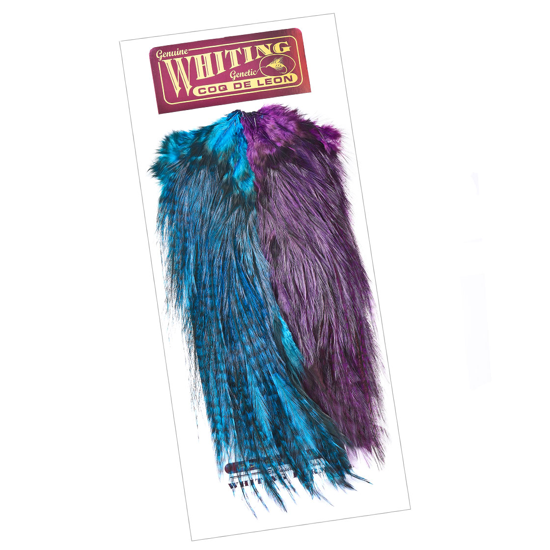 blue/purple