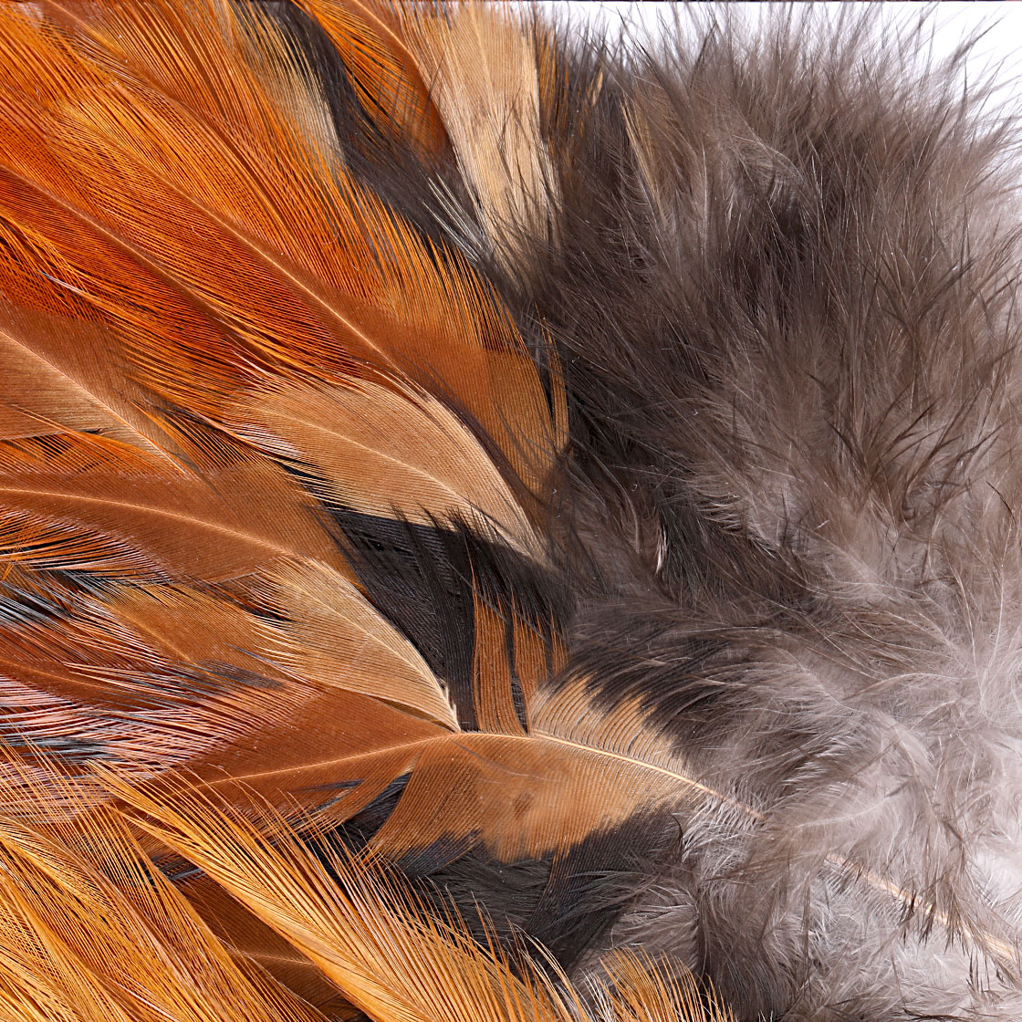 P-25381_Whiting-American-Rooster-Saddle_detail_3