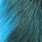 fl. blue