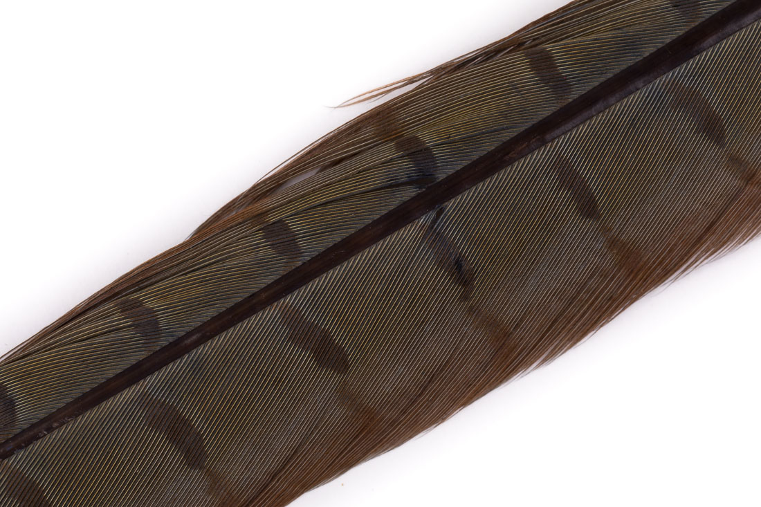 heron grey extracted