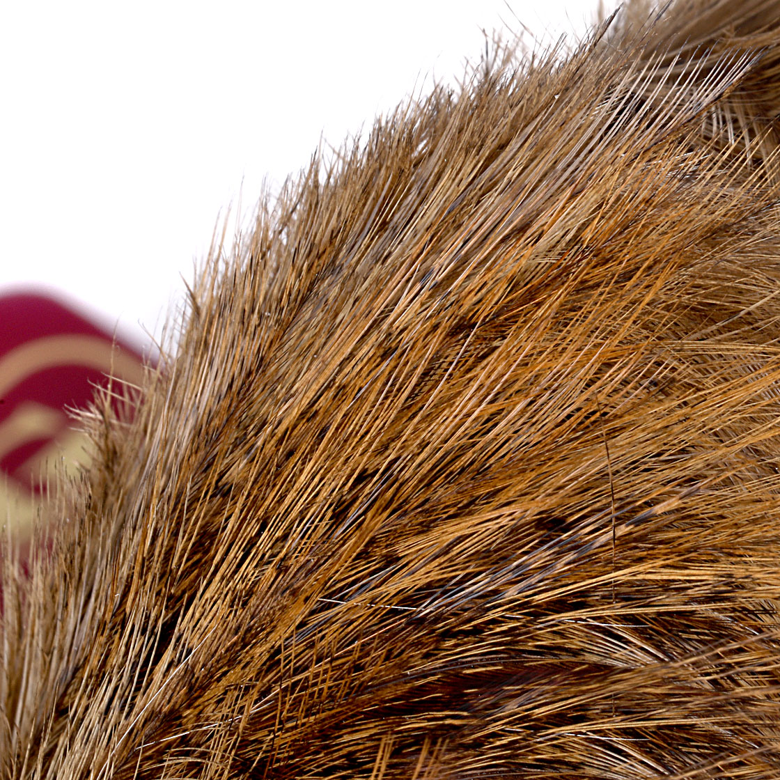 P-25392_Whiting-Coq-de-Leon-Cape_detail_3