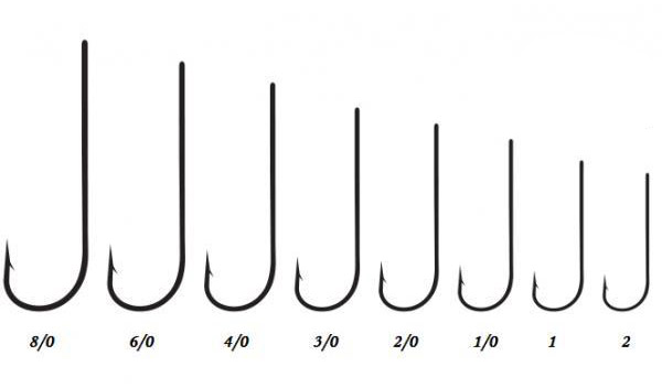 Pike_Monkey_P10_sizes