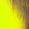 chartreuse