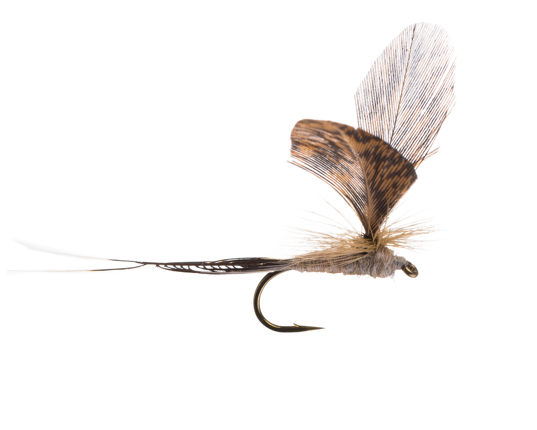 ephemerella_danica_dun_11494-3 Dry Fly - Ephemerella Danica Dun cream / brown