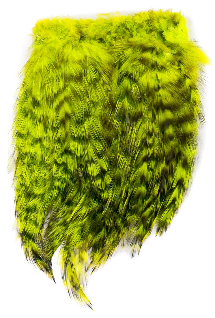 fluo chartreuse