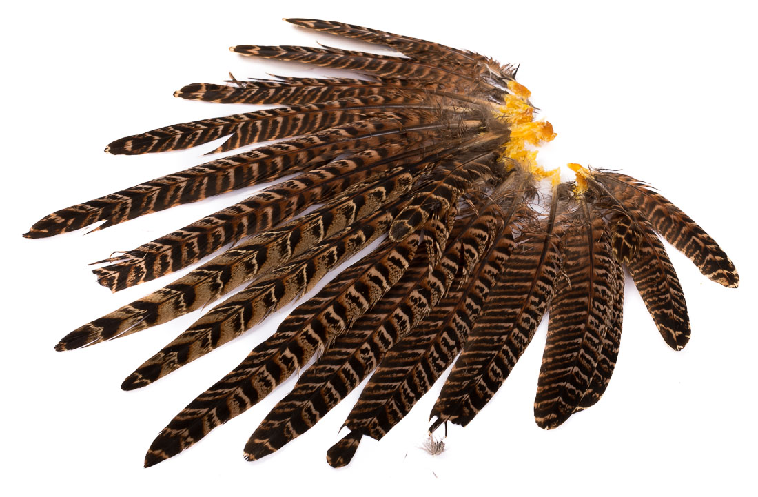 Veniard Pheasant Hen Complete Tail