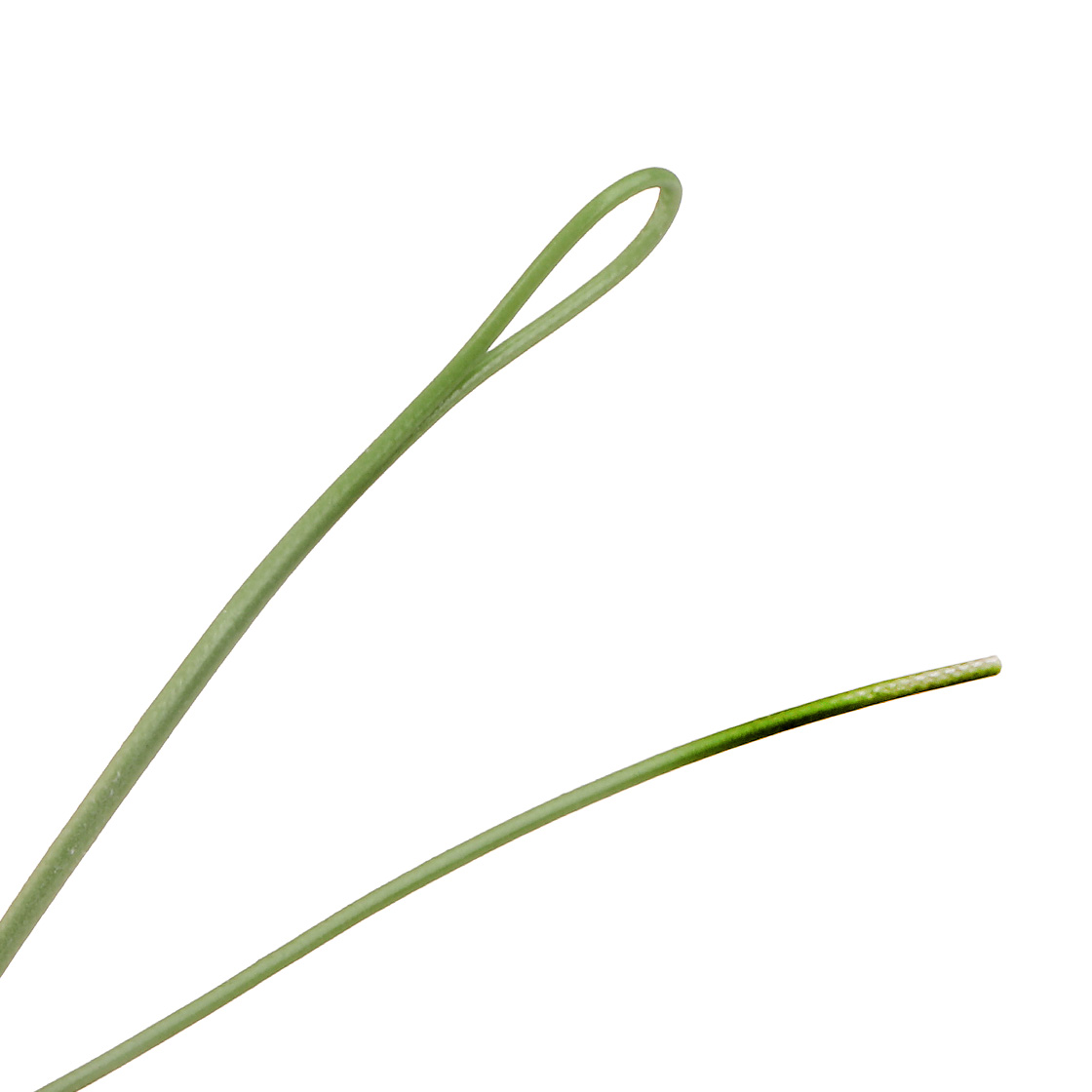 P-27420_JMC-Wave-WF-Fliegenschnur_