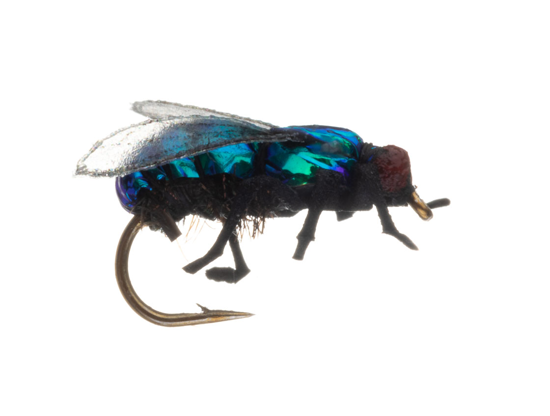 15909-1_Vania-Realistic-Green-Fly